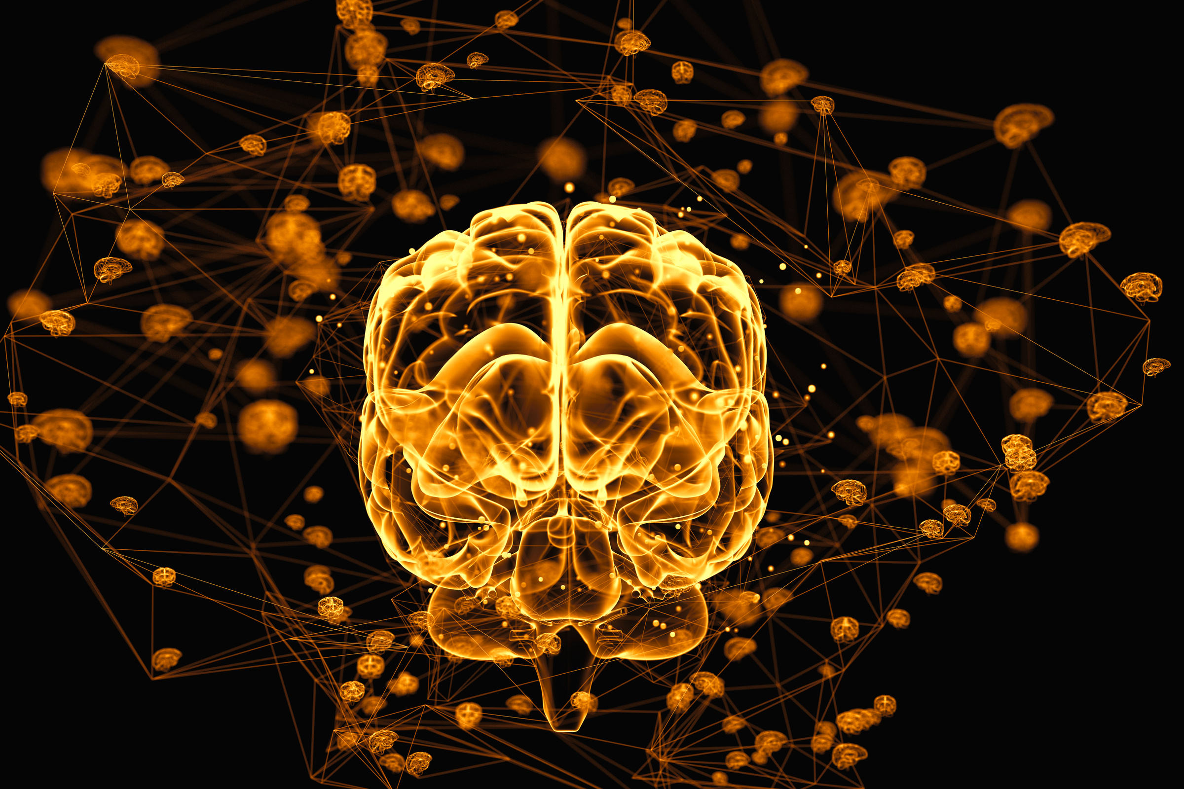 Brain activity